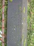 image of grave number 116393